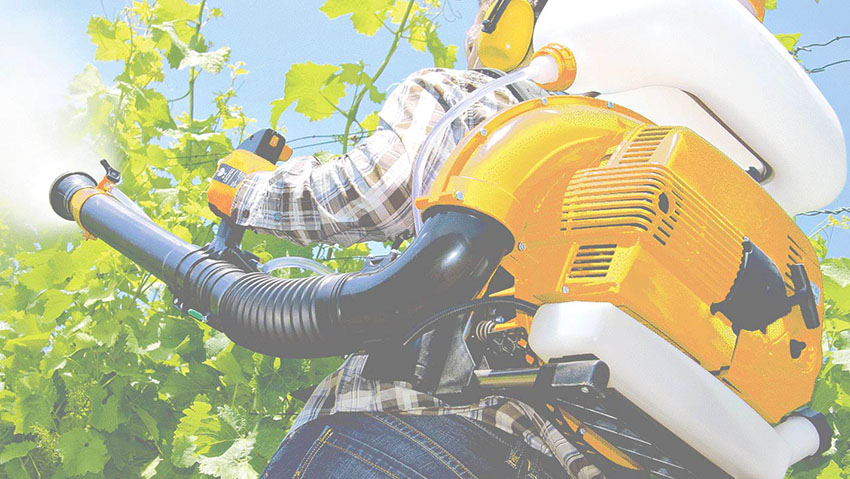 Agrieuro di Settimi srl